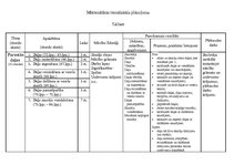 Paraugs 'Matemātikas mācību metodika 1.-6.klasei. Diferencēta ieskaite', 15.