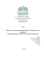 Referāts 'Electrical Conductivity of the Metal Fiber Conductive Concrete (Review)', 1.