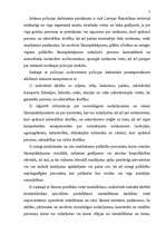 Prakses atskaite 'Prakse Valsts policijā', 7.