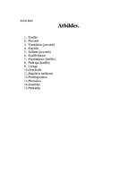 Konspekts 'Kredīti. Krustvārdu mīkla', 2.