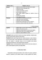 Diplomdarbs 'Reklāmas pielietojuma izpēte tirdzniecības uzņēmumā SIA "RIMI Latvija"', 11.