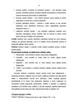 Diplomdarbs 'Reklāmas pielietojuma izpēte tirdzniecības uzņēmumā SIA "RIMI Latvija"', 14.