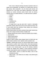 Diplomdarbs 'Reklāmas pielietojuma izpēte tirdzniecības uzņēmumā SIA "RIMI Latvija"', 32.