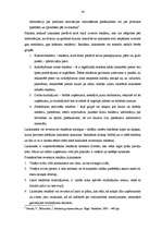 Diplomdarbs 'Reklāmas pielietojuma izpēte tirdzniecības uzņēmumā SIA "RIMI Latvija"', 34.