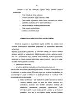 Diplomdarbs 'Reklāmas pielietojuma izpēte tirdzniecības uzņēmumā SIA "RIMI Latvija"', 43.