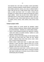 Diplomdarbs 'Reklāmas pielietojuma izpēte tirdzniecības uzņēmumā SIA "RIMI Latvija"', 48.