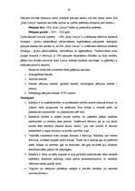 Diplomdarbs 'Reklāmas pielietojuma izpēte tirdzniecības uzņēmumā SIA "RIMI Latvija"', 79.