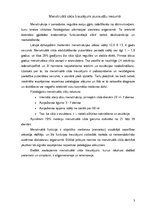 Referāts 'Menstruālā cikla traucējumi un vulvas pataloģijas bērnu un pusaudžu vecumā', 3.