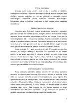 Referāts 'Menstruālā cikla traucējumi un vulvas pataloģijas bērnu un pusaudžu vecumā', 7.