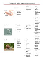 Konspekts 'Dzīvnieku tipu pazīmju salīdzinājums', 2.