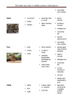 Konspekts 'Dzīvnieku tipu pazīmju salīdzinājums', 5.