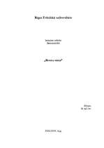 Referāts 'Betona veidņi', 1.