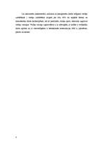 Referāts 'Betona veidņi', 6.