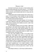 Referāts 'Betona veidņi', 19.