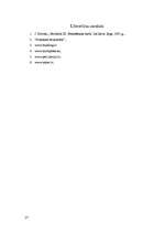 Referāts 'Betona veidņi', 27.