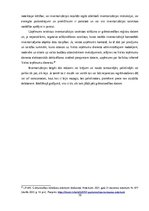 Referāts 'Naudas līdzekļu uzskaite, kontrole un analīze', 19.