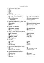 Konspekts 'Anketa bērniem', 1.