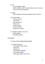 Prakses atskaite 'Kursa darbs klīniskajā diagnostikā', 12.