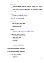 Prakses atskaite 'Kursa darbs klīniskajā diagnostikā', 13.