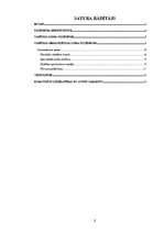 Referāts 'Vadītāja organizatora loma uzņēmuma efektivitātes nodrošināšanā', 2.