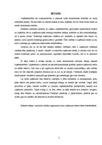 Referāts 'Vadītāja organizatora loma uzņēmuma efektivitātes nodrošināšanā', 3.