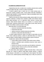 Referāts 'Vadītāja organizatora loma uzņēmuma efektivitātes nodrošināšanā', 4.