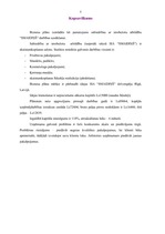 Biznesa plāns 'SIA "Smaidiņš" biznesa plāns', 5.