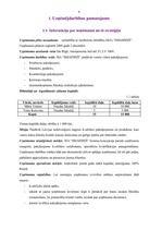 Biznesa plāns 'SIA "Smaidiņš" biznesa plāns', 6.