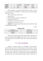 Biznesa plāns 'SIA "Smaidiņš" biznesa plāns', 9.