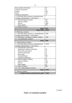 Biznesa plāns 'SIA "Smaidiņš" biznesa plāns', 19.