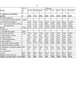 Biznesa plāns 'SIA "Smaidiņš" biznesa plāns', 21.