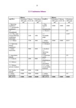 Biznesa plāns 'SIA "Smaidiņš" biznesa plāns', 22.