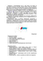 Referāts 'Gaisma', 15.