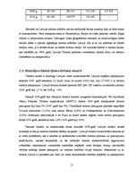 Diplomdarbs 'SIA "X" finansiālās situācijas analīze un attīstības perspektīvas', 13.