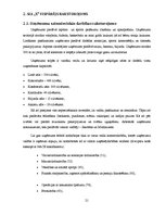 Diplomdarbs 'SIA "X" finansiālās situācijas analīze un attīstības perspektīvas', 21.