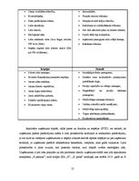 Diplomdarbs 'SIA "X" finansiālās situācijas analīze un attīstības perspektīvas', 25.