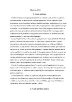 Referāts 'Uzņēmuma gada pārskats, tā sastāvs un iesniegšanas kārtība', 2.