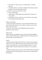 Referāts 'Uzņēmuma gada pārskats, tā sastāvs un iesniegšanas kārtība', 4.