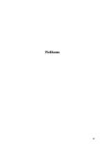 Referāts 'Atlantīda', 19.