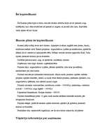 Biznesa plāns 'Biznesa plāns zirgaudzētavai', 2.