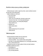 Biznesa plāns 'Biznesa plāns zirgaudzētavai', 4.