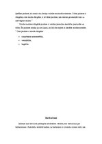 Referāts 'Modes tendences valodā', 5.