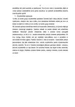 Referāts 'Georgs Zimmels (1858. -1918.) Georg Simmel', 6.