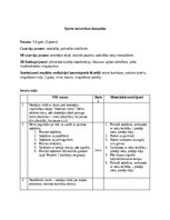 Konspekts 'Pirmsskolas izglītības 3. posma sporta nodarbības konspekts', 2.