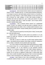 Referāts 'E-komercija', 6.