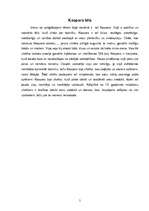 Referāts 'Romāns "Mērnieku laiki"', 5.