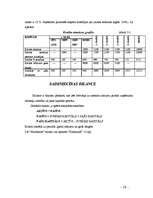 Referāts 'Lauksaimniecības uzņēmuma "Muižnieks" ražošanas plāns un attīstības iespējas', 19.