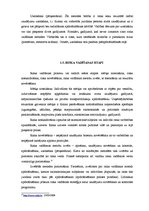 Diplomdarbs 'Finanšu riski un to nozīme', 13.