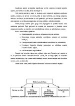 Diplomdarbs 'Finanšu riski un to nozīme', 20.