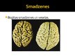 Prezentācija 'Smēķēšana', 10.